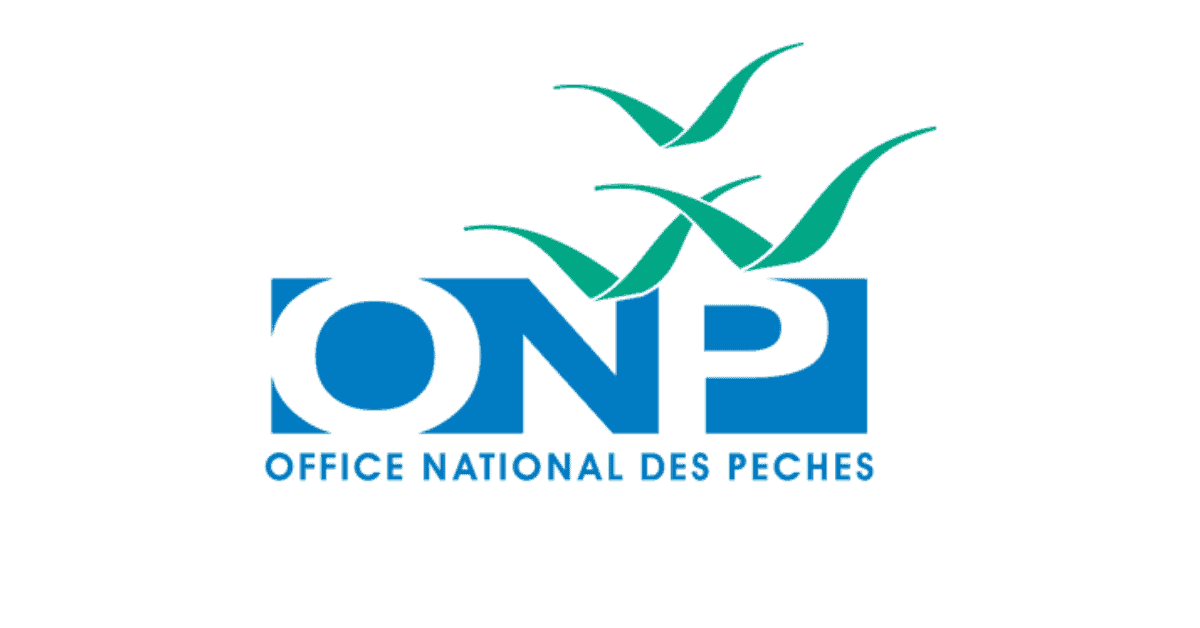 مباراة توظيف المكتب الوطني للصيد (ONP) 2026 (2 أطر)